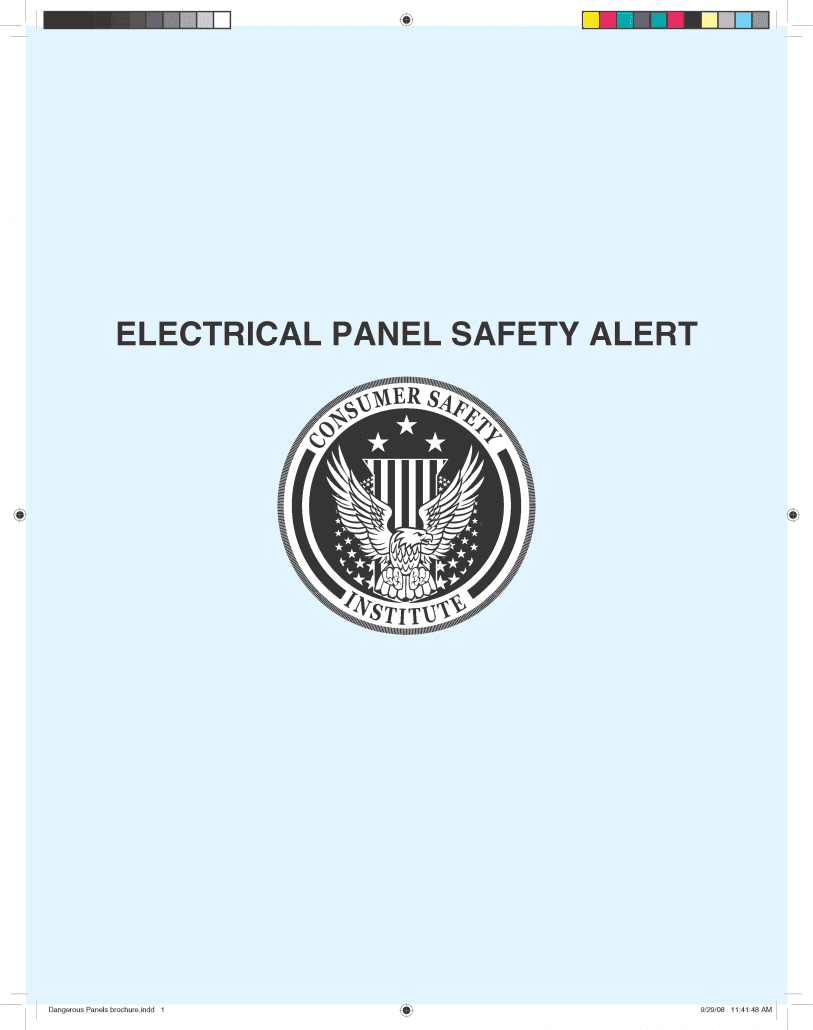 Consumer Safety Outdated Panel Report